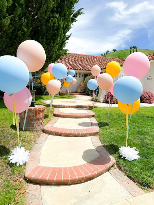 🎉 Bring the Fun to Your Backyard Birthday Party with Faberyay Balloons: Classic Aussie Style!🎈